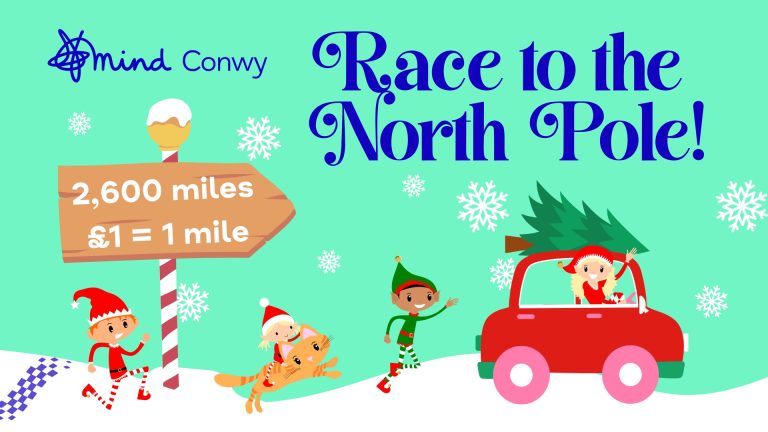 Race to the North Pole
