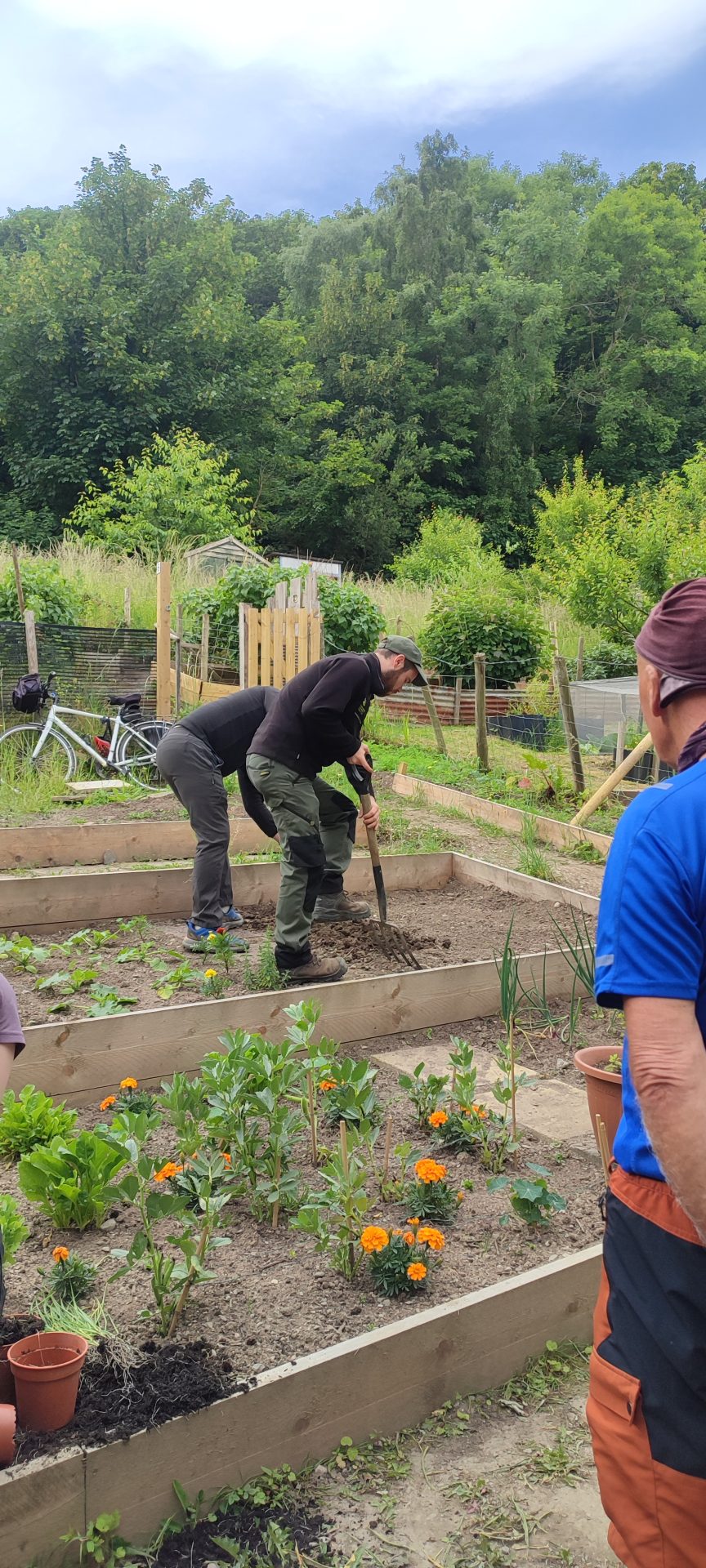 Growing Together: Looking back at the first year of our Allotment 